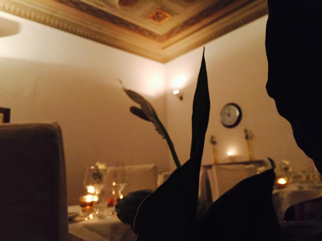 Home Restaurant Hotel Florencie Pokoj fotografie